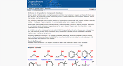 Desktop Screenshot of organoborons.com